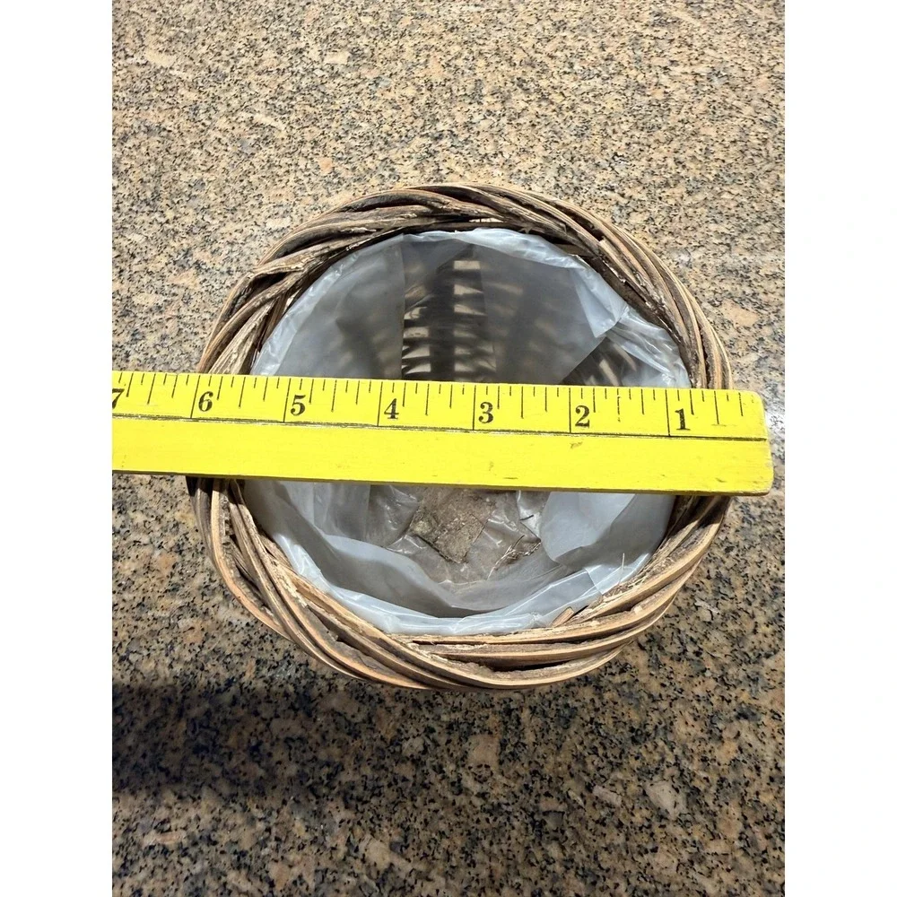 Brown Wicker Flower Basket Small Planter Pot Plastic Liner Rustic Tabletop Decor